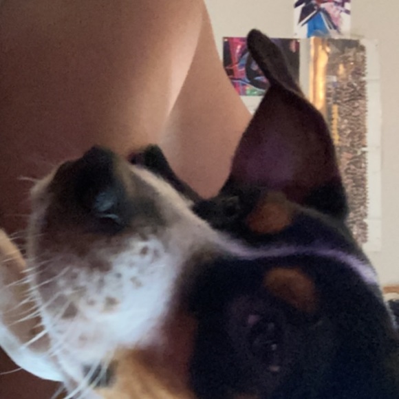 Meet your Posher, Noemi - Picture 1 of 1